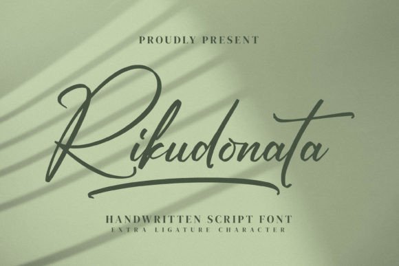 The Art of Modern Typography: Why Rikudonata Defines Contemporary Brand Identity